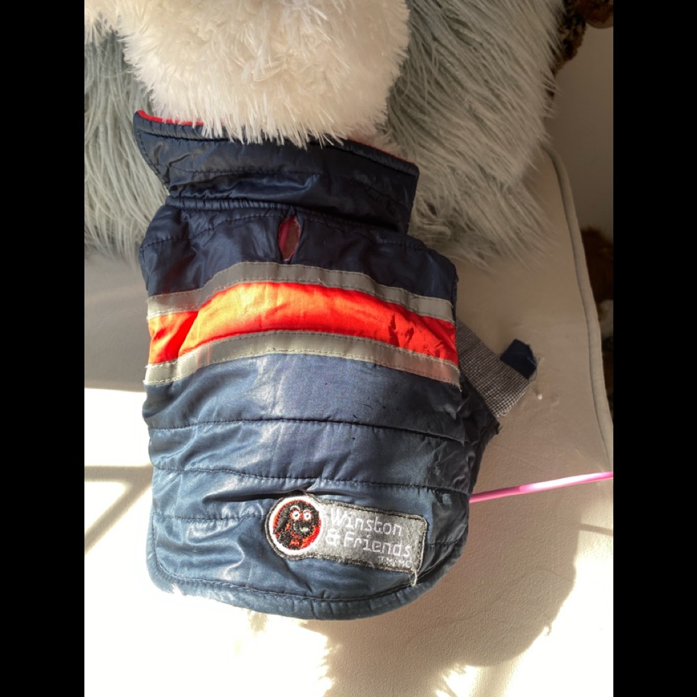 Dog 🐶 Vest - Picture 2 of 3